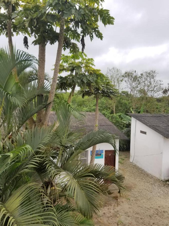 Montanita Garden Hostal 外观 照片